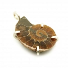 Ammonite Fossil and 925 Silver Pendant