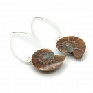 Ammonite Fossil and Sterling Silver Earrings