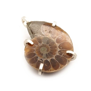 Ammonite Fossil and 925 Silver Pendant