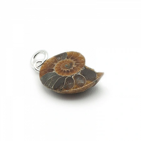 Sterling Silver and Ammonite Fossil Pendant
