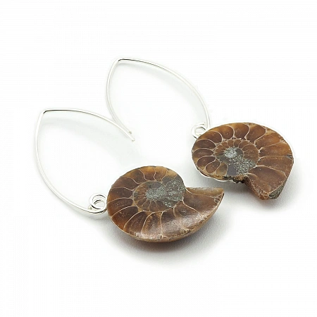 Ammonite Fossil and Sterling Silver Earrings