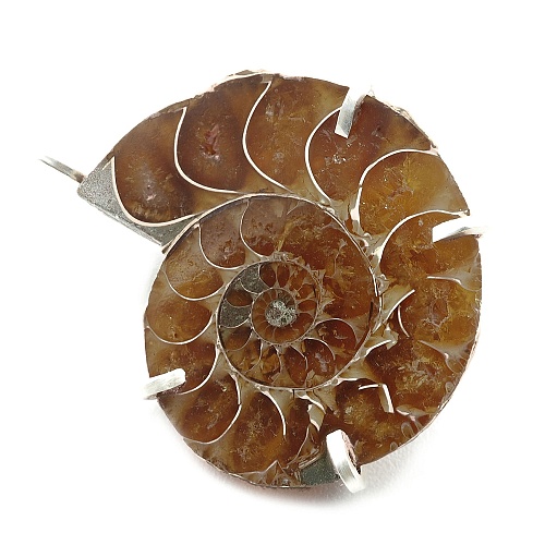 925er Silber und Ammonit Fossil Anhänger