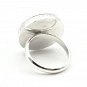 Serpentine Ring and 925 Silver 4