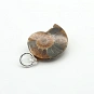 Sterling Silver and Ammonite Fossil Pendant 2