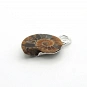 Sterling Silver and Ammonite Fossil Pendant 3