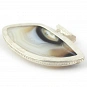 Agate Pendant set in Sterling Silver irregular-shaped and brown white color with size of 21x43x5 millimeter 3
