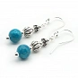 Blue Apatite and Sterling Silver Earrings 2