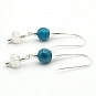 Blue Apatite and 925 Silver Earrings 3