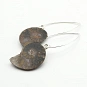 Ammonite Fossil and Sterling Silver Earrings  3