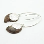 Ammonite Fossil and Sterling Silver Earrings  3